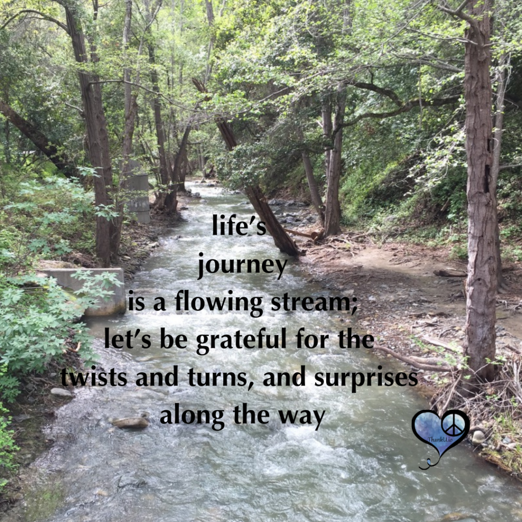 stream with quote "Life's journey is a flowing stream; let's be grateful for twists and turns, and surprises along the way."