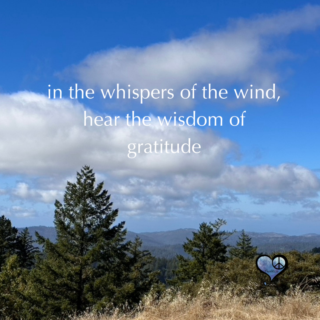 photo of hillside and trees with clouds and quote about wind