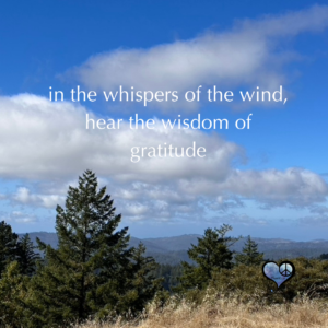 photo of hillside and trees with clouds and quote about wind