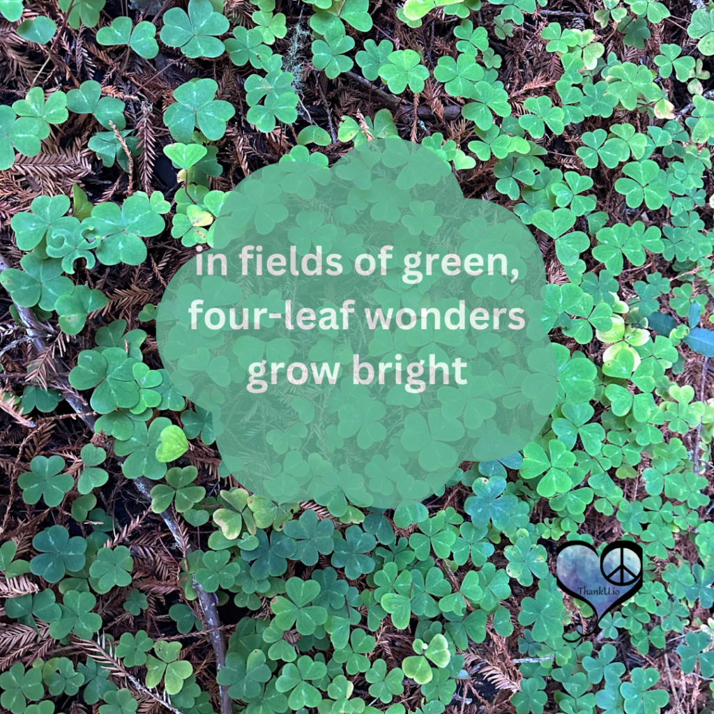 field of clover with quote saying "in fields of green, four-leaf wonders grow bright."