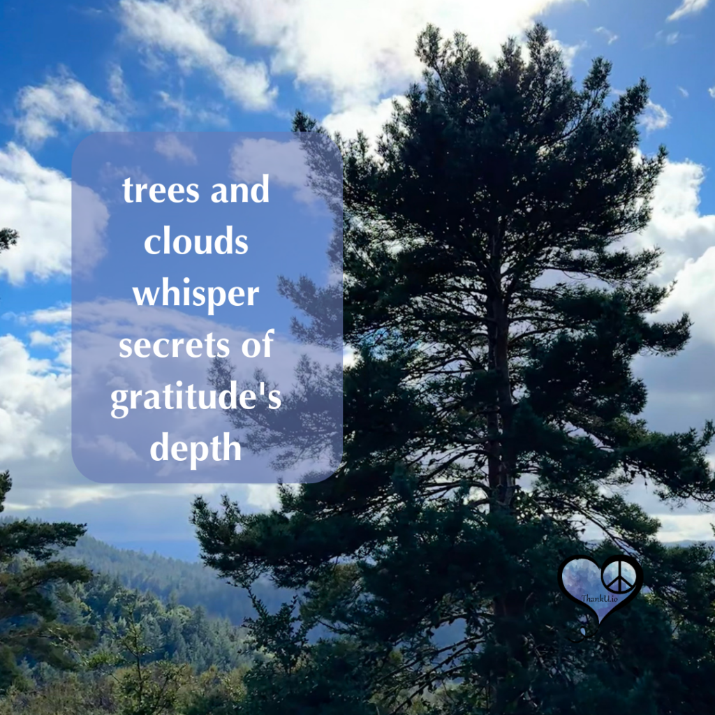 Image of tree and clouds with quote "Trees and clouds whisper secrets of gratitude's depth"